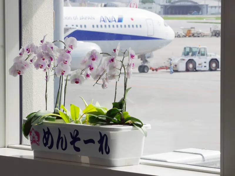 AV女優が撮影のために那覇空港から飛行機で移動するイメージ画像